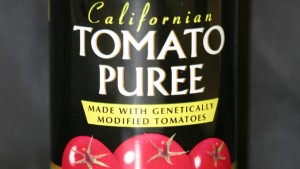 Tomato paste made from genetically engineered tomatoes in the mid-1990s.