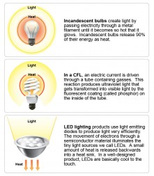 Bulb comparison2