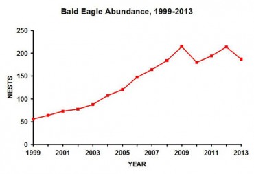 This graph illustrates the growth in the estimated number of bald eagle nesting pairs in Ohio in the past fourteen years. Credit: ODNR