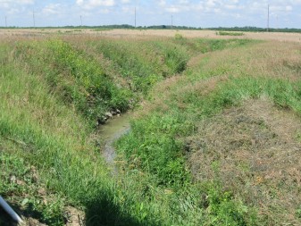 Many farms rely on "tile drainage," a series of underground pipes that drain water from the field into a ditch, as shown above. Nutrient runoff into these ditches feed toxic algae blooms downstream.