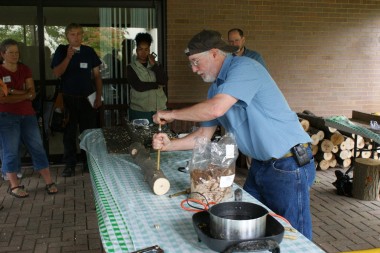 Dr. Kenneth Mudge demonstrates how to seed a log with Shitakes.   Growing edible mushrooms can be both profitable and sustainable. Credit: Holden Arboretum.