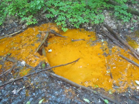 Owing its coloring to iron precipitates,bright yellow drainage has earned the nickname "Yellow Boy." Credit: ODNR