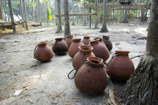 Date palm sap is collected in clay pots like these. Covering the pots with fabric to keep the bats out can prevent contaminationDate palm sap pots. Photo courtesy of Micah Hahn. 