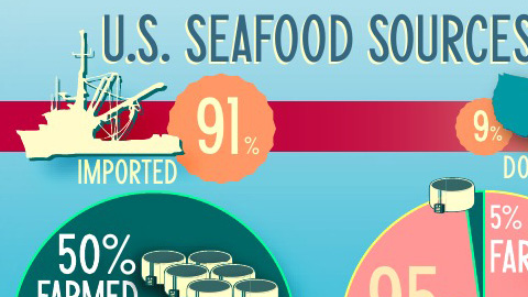 By giving carnivorous farmed fish barley, yeast and soy can we get them to go vegetarian? Click on the infographic above to learn more.
