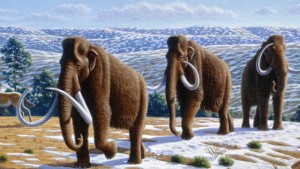 If revived, woolly mammoths could help keep the permafrost from melting, say scientists. Illustration by Mauricio Antón, courtesy PLoS Biology.
