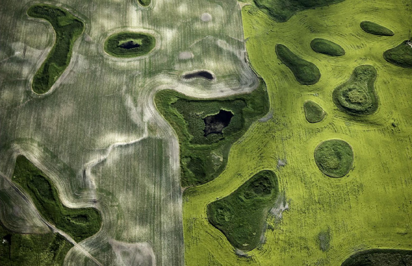 Aerial, pothole wetlands, North Dakota