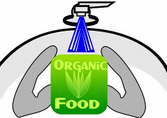 organic food wash