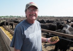 Cattle feeder, Terry Van Housen, holds a handful of yellow cattle feed in his hand.