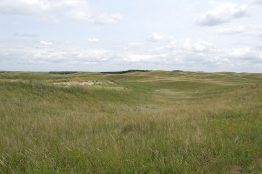 Today Nebraska's Sandhills are lush grasslands that support a robust ranching economy. (Photo by Ariana Brocious)