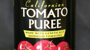 Genetically engineered tomatoes created in Davis, California, in the mid-1990s were made into an inexpensive tomato paste that sold well in England. The engineered tomatoes and the paste were both labeled, but were short-lived. Photo: Adrian Dubock 