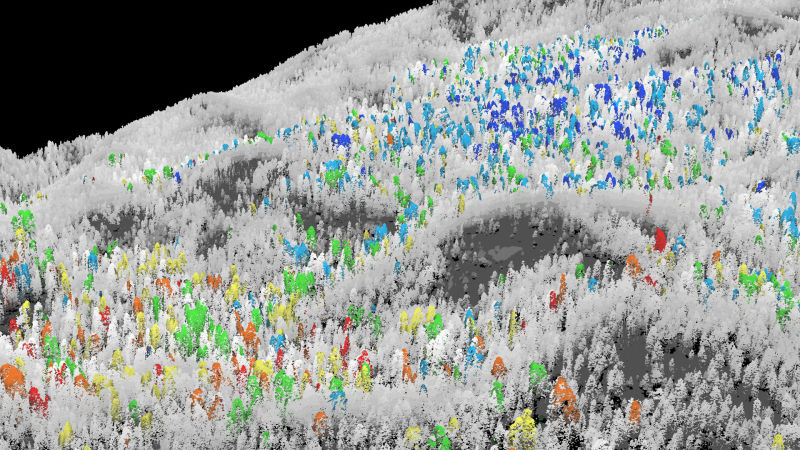 Greg Asner, of the Carnegie Institution for Science, created this map of giant sequoias in Sequoia National Park’s Giant Forest this summer, after imaging the trees with the Carnegie Airborne Observatory, a plane with instruments that measure water, nitrogen and sugars. The trees that appear in blue are getting the most water. The yellow, orange and red trees are getting the least. 