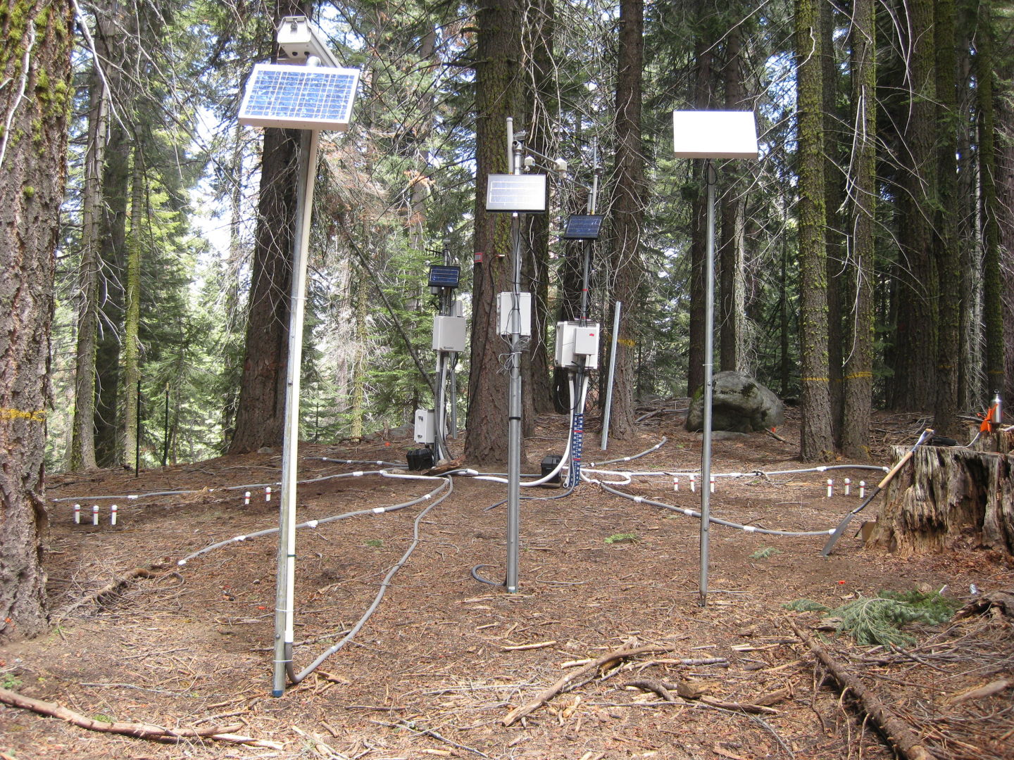 The "critical zone tree" in UC Merced’s Southern Sierra CZO has nearly 200 sensors.
