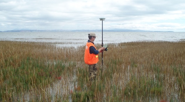 A USGS researcher takes precise elevation measurements of a marsh on San Francisco Bay. (Photo: USGS)
