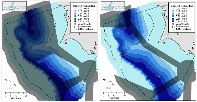 The existing shipping lanes (shown in grey on the left) are now narrowed (as seen on the right). The blue areas show areas where blue whales are found. (Image: Andrea Dransfield SFSU data from ACCESS a partnership between NOAA & PRBO)