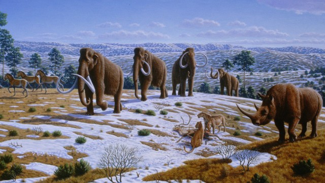 Woolly mammoths thrived during the last ice age, in the Pleistocene, until planetary warming--which the most recent evidence suggests came from a meteorite--killed them off thousands of years ago. (Image: Mauricio Anton, PLOS Biology)