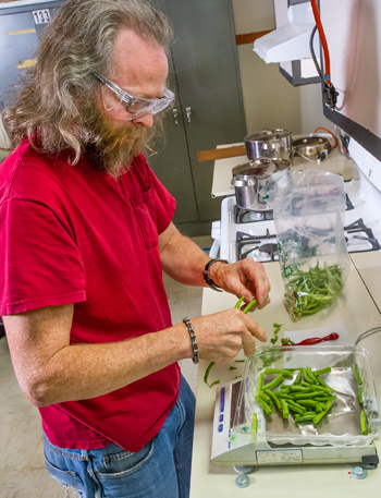 Woody Delp measures green beans in the test kitchen. (Photo: Lawrence Berkeley National Lab)