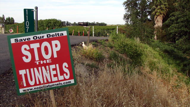 Major hurdles remain for a $25 billion plan for the state's water supply, centered at Sacramento-San Joaquin Delta. (Craig Miller/KQED)