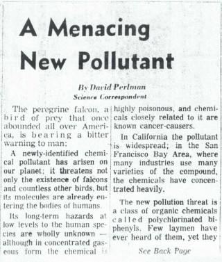 Perlman had already been covering science for a decade when he filed this 1969 piece about the newly-discovered family of toxic chemicals: PCBs. (San Francisco Chronicle)
