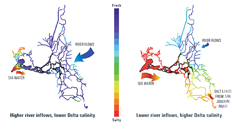 Seawater (in red) pushes into the Delta when the inflow from rivers is low. (Resource Management Associates, cited in Delta Plan)