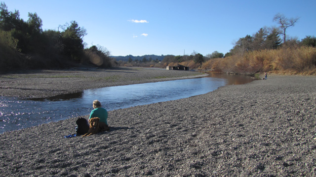 A woman and her dog sit by a shrunken stretch of the Russian River in Healdsburg, Sonoma County. (Craig Miller/KQED)