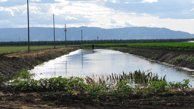 An irrigation ditch in the Central Valley. When surface water is scarce, farmers pump more groundwater to make up the difference. (Craig Miller/KQED)