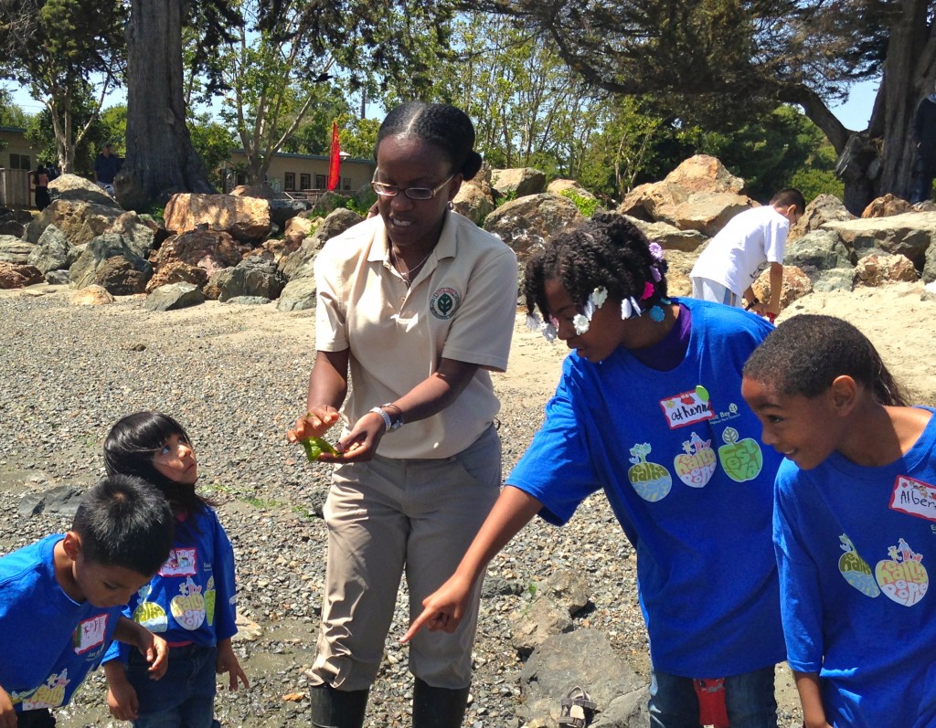 Yogi Francis, an Interpretive Student Aide, leads kids and their families on a low-tide walk at Crab Cove, EBRPD.