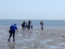 Exploring in the mudflats at low tide is a multi-sensory experience.