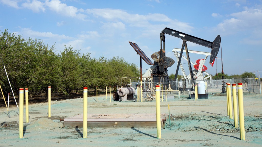 An oil well next to orchards in Shafter, California, where oil companies have been fracking. (Lauren Sommer/KQED)