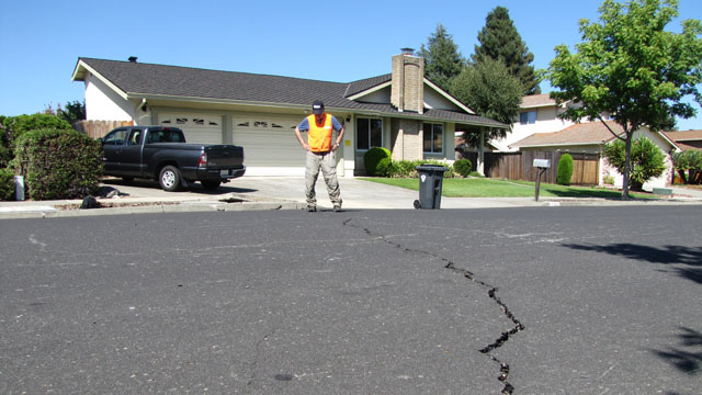 Seismologist David Schwartz examines a crack in suburban Napa that he says shows a few centimeters of side-slip -- a clue to faulting below. (Craig Miller/KQED)