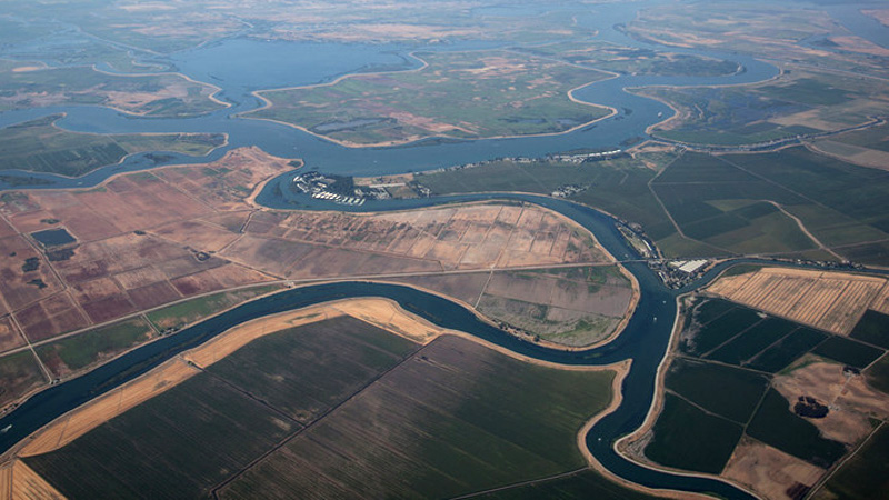 The Sacramento-San Joaquin Delta has been almost completely transformed over the past 150 years. (Mark Andrew Boyer/KQED)