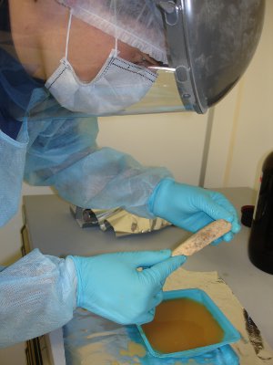 This scientist is pulling DNA out of a Neanderthal bone. They needed to use similarly sterile techniques for the 45,000 year old human femur. (Wikimedia Commons) 