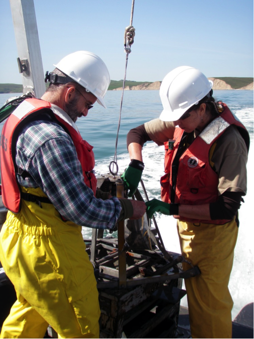 Daniel Hoover and Brenda Goeden collect sand samples along the coast of Drakes Bay in California. (Amy Foxgrover/USGS)