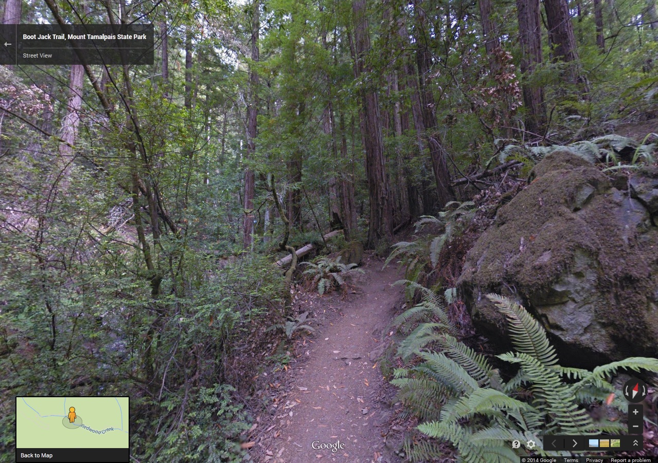 The Boot Jack Trail on Mount Tam. (Google Maps)