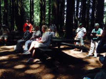 Under the redwood canopy, naturalists hear the background about the "Fern Watch" project.