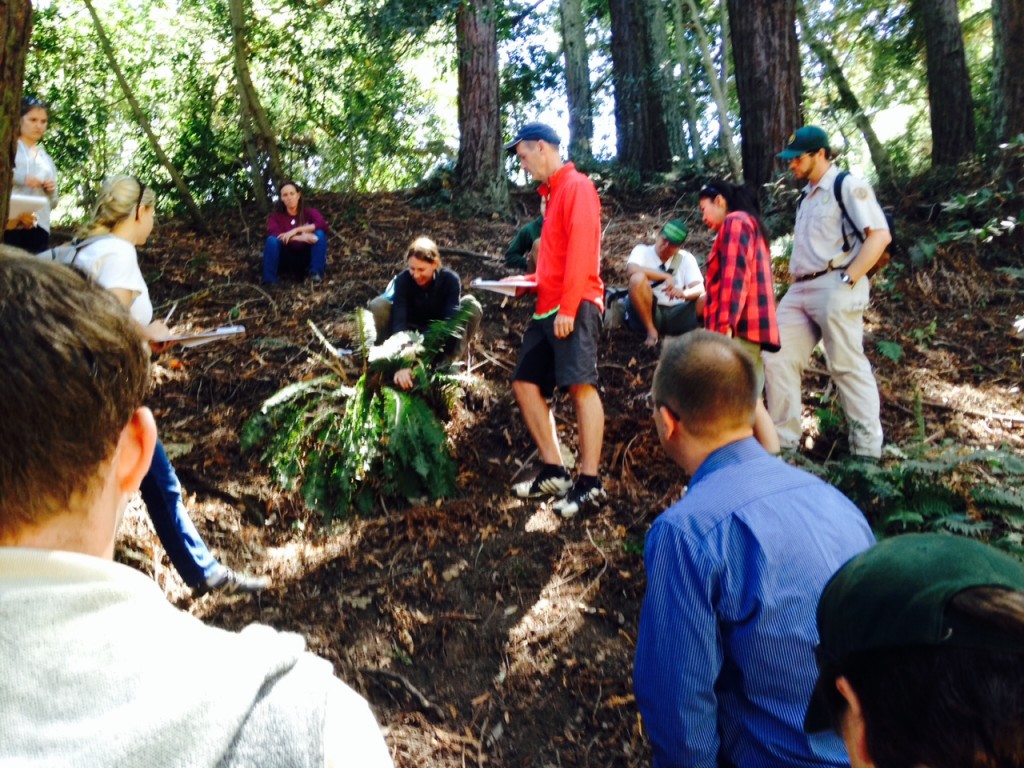 East Bay Regional Parks naturalists practice measuring swordfern fronds for the "Fern Watch" Project.