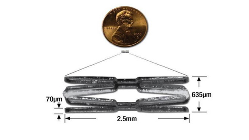 Small mouse-sized stent used by Stanford researchers. (Courtesy of Euan Ashley)