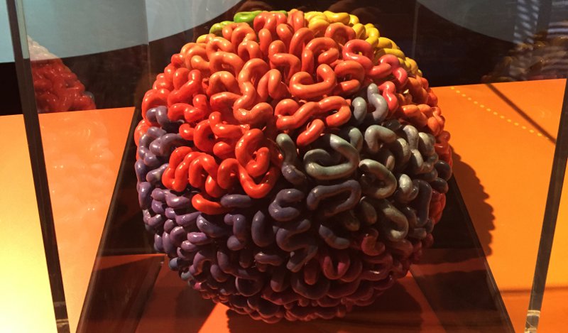 The human genome is packaged into a series of loops. This representation is from the Genome: Unlocking Life's Code exhibition, currently at The Tech Museum in San Jose. Each color represents a separate chromosome. 
