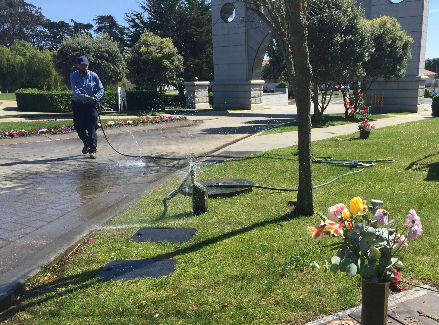 A worker sprays down part of Cypress Lawn Memorial Park in Colma. Officials hope to cut back water-use there, but not so much the grass goes brown. (Daniel Potter/KQED)