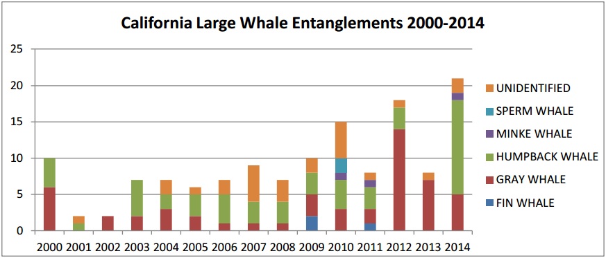 The letter from the Center for Biological Diversity, Oceana and Earthjustice includes charts based on federal data, showing an upward trend of whale entanglement since 2000. (Earthjustice/Oceana/Center for Biological Diversity)