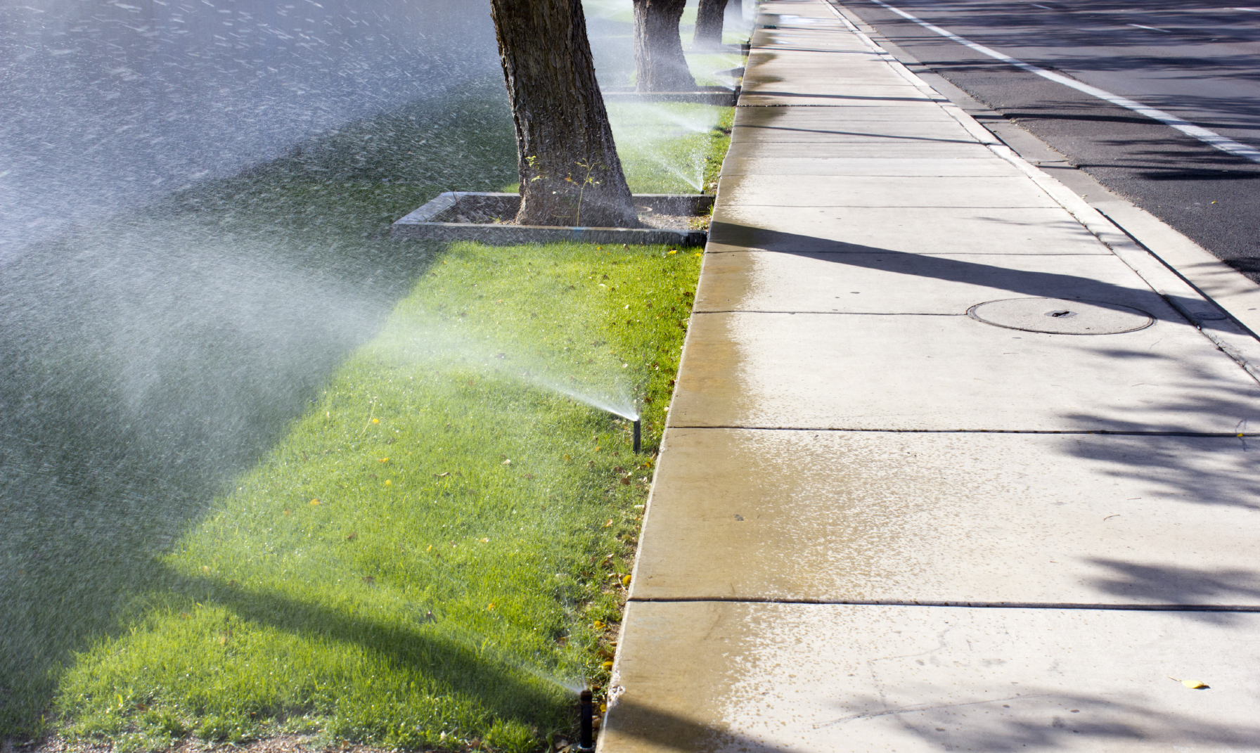 Lawns and medians are in the crosshairs of California's new mandatory water restrictions. (iStock/Getty Images)