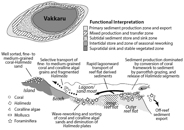 Geoecological model of Vakkaru