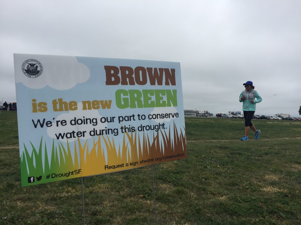 A sign on San Francisco's Marina Green publicizing the state's effort to save water. (Lindsey Hoshaw/KQED)