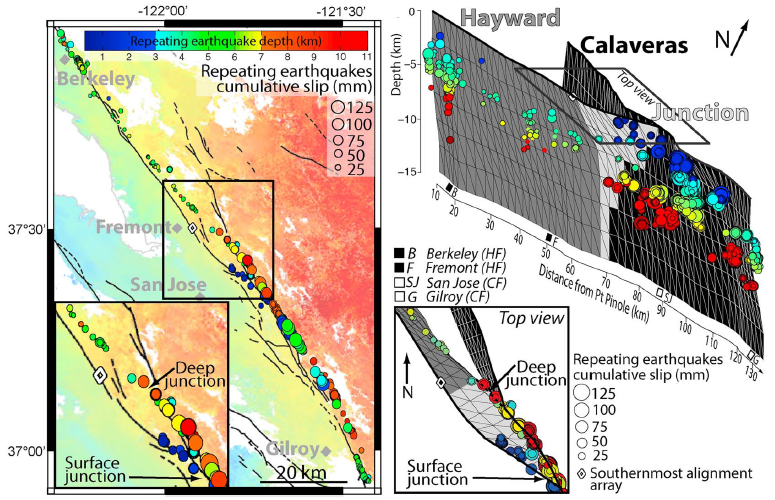 New model of the Hayward-Calaveras fault junction