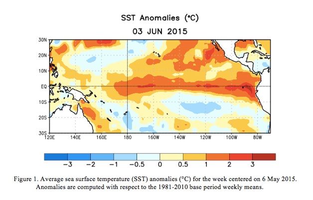 NOAA graphic shows the warm plume of water running east-west near the equator, the classic signature of El Nino.