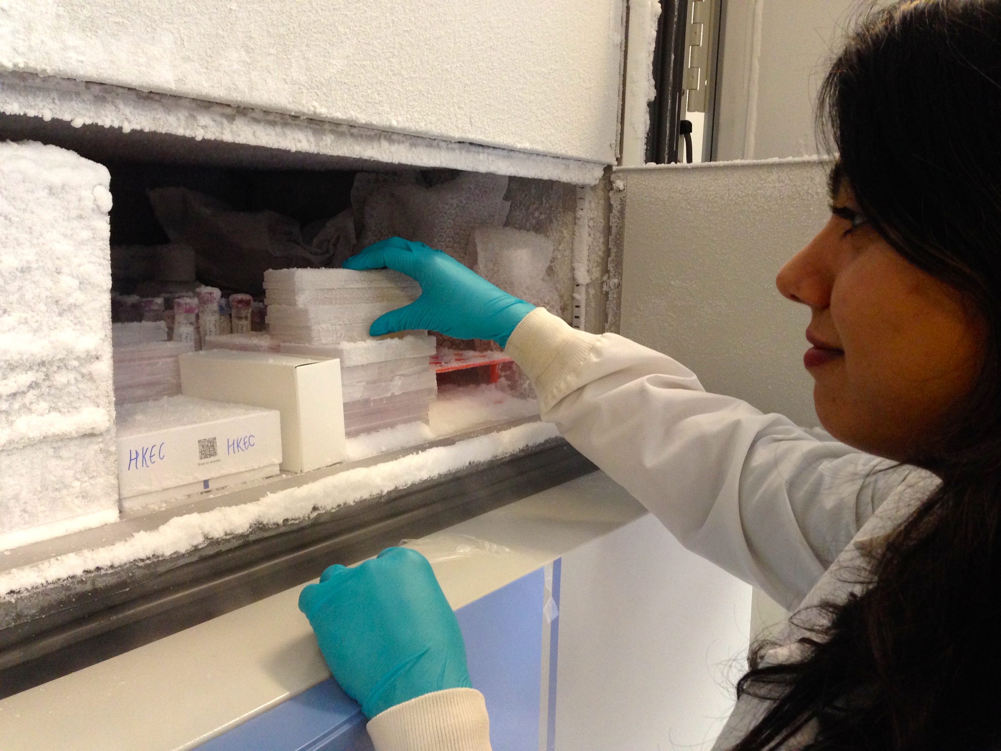 At Second Genome, hundreds of stool samples from patients with IBD and other diseases are stored in freezers. (Amy Standen/KQED)