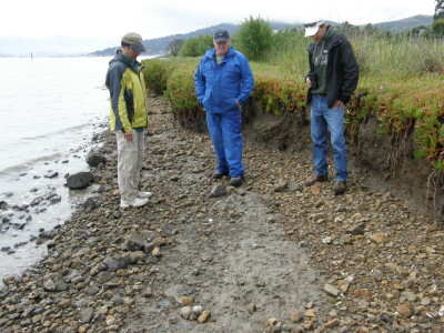 The team examines the eroded east side of Aramburu island, prior to the enhancement project.