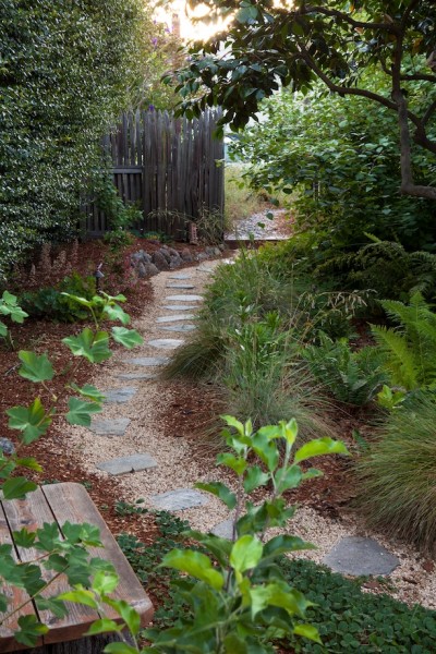 Replacing lawns with native plants and hardscaping like this plant adds visual interest and habitat for birds.  (Courtesy of EBMUD)