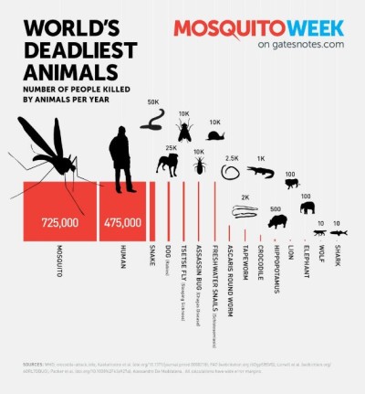 Together, mosquito-borne diseases and humans kill over 100,000-times more people per year than sharks. 