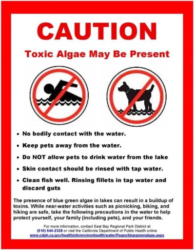 Warning signs will be posted to notify you about potential hazards in parks and swim areas. 
