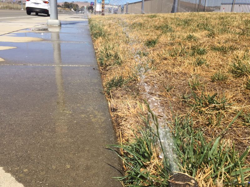 Watering that produces visible runoff ("watering the sidewalk") is prohibited under state drought rules.